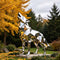 Stainless Steel Sculptures