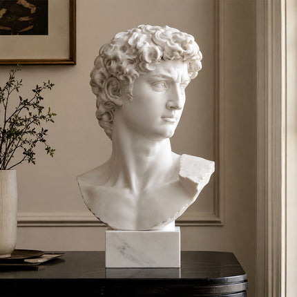 Classical marble David bust sculpture for interior decoration