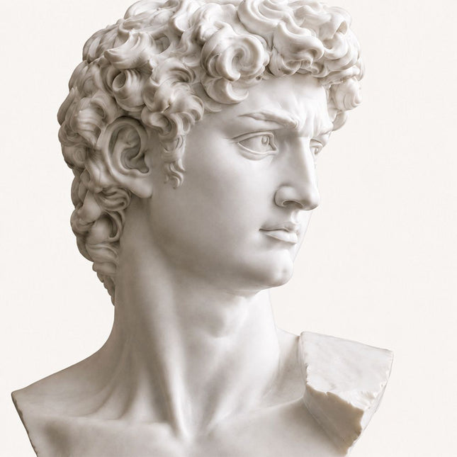 Detailed marble David bust sculpture showing carved facial features