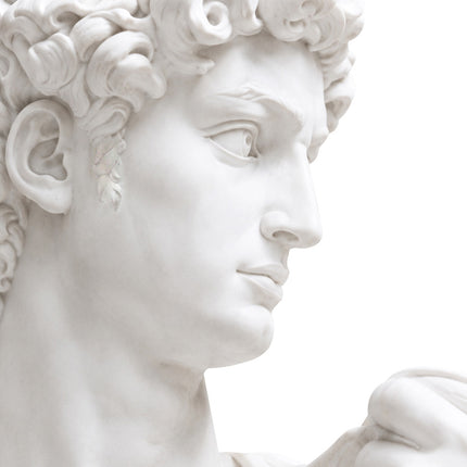 Close-up of a white marble David statue showing its curled hair, turned face, and detailed facial features
